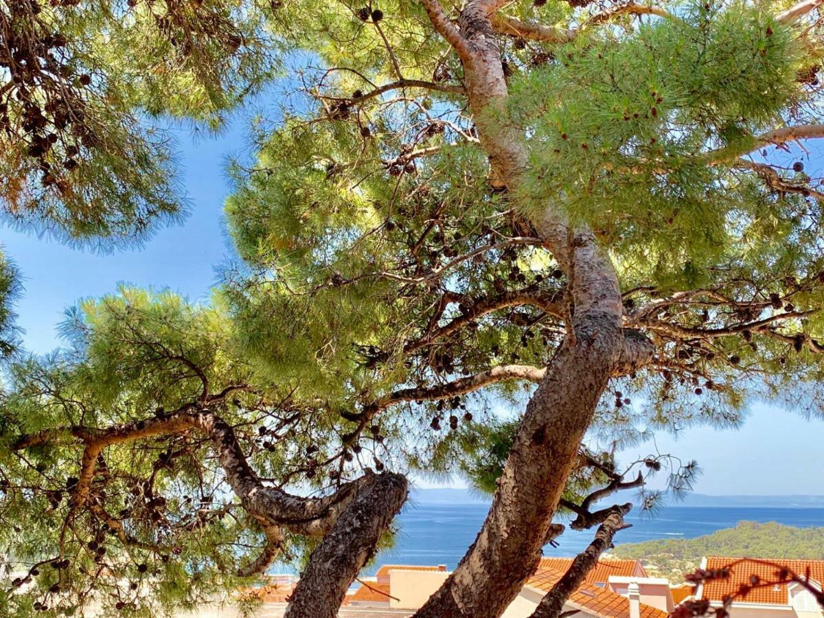 17 Pines Appartement Makarska Buitenkant foto