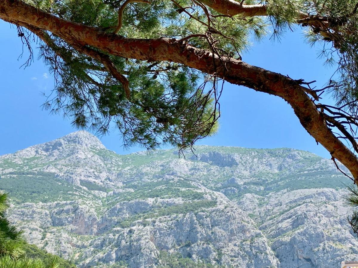 17 Pines Appartement Makarska Buitenkant foto